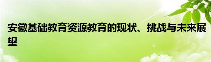 安徽基础教育资源教育的现状、挑战与未来展望