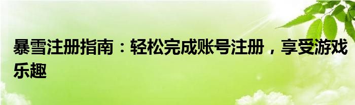 暴雪注册指南：轻松完成账号注册，享受游戏乐趣