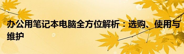 办公用笔记本电脑全方位解析：选购、使用与维护