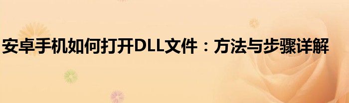 安卓手机如何打开DLL文件：方法与步骤详解
