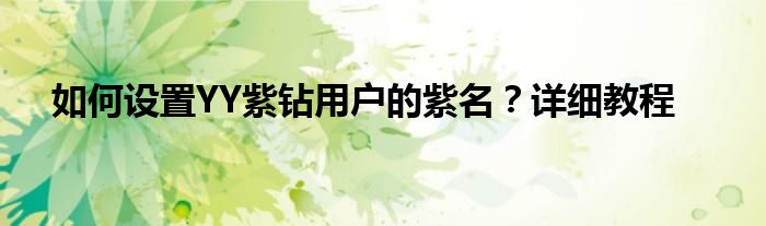 如何设置YY紫钻用户的紫名？详细教程