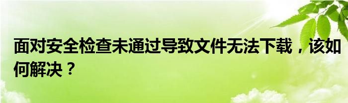 面对安全检查未通过导致文件无法下载，该如何解决？