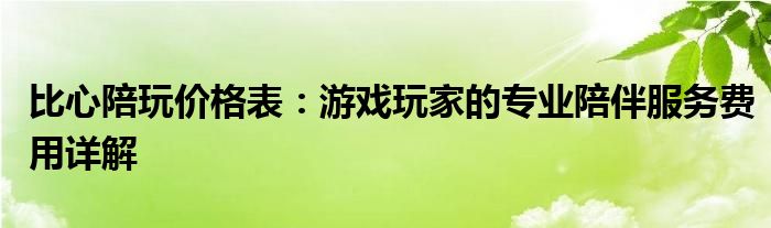 比心陪玩价格表：游戏玩家的专业陪伴服务费用详解