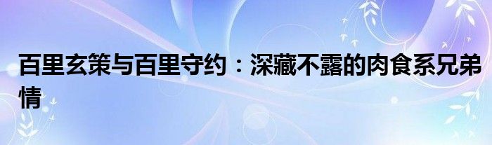 百里玄策与百里守约：深藏不露的肉食系兄弟情