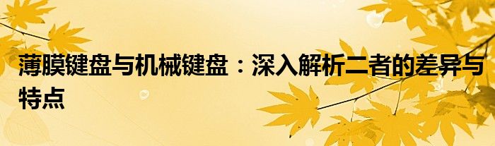 薄膜键盘与机械键盘：深入解析二者的差异与特点