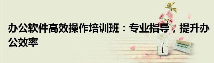 办公软件高效操作培训班：专业指导，提升办公效率
