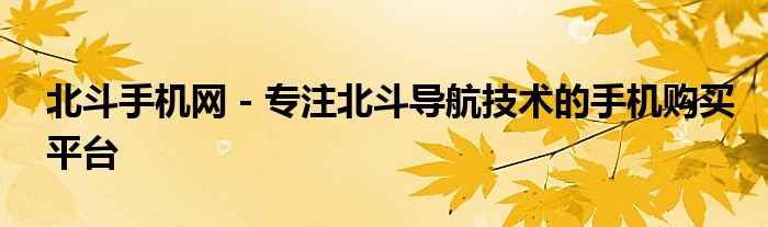北斗手机网 - 专注北斗导航技术的手机购买平台