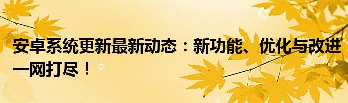 安卓系统更新最新动态：新功能、优化与改进一网打尽！