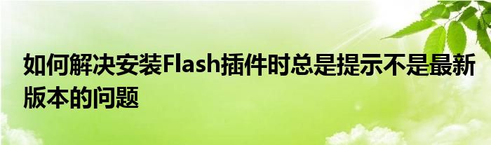 如何解决安装Flash插件时总是提示不是最新版本的问题