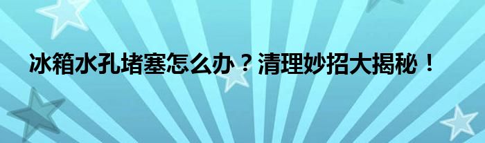 冰箱水孔堵塞怎么办？清理妙招大揭秘！