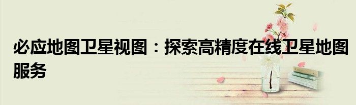 必应地图卫星视图：探索高精度在线卫星地图服务