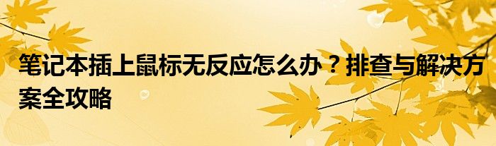 笔记本插上鼠标无反应怎么办？排查与解决方案全攻略