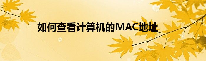 如何查看计算机的MAC地址