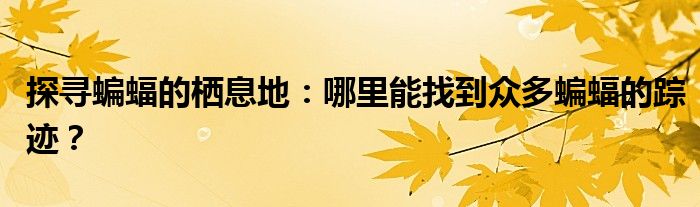 探寻蝙蝠的栖息地：哪里能找到众多蝙蝠的踪迹？