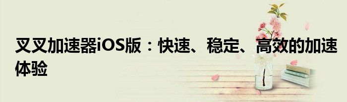 叉叉加速器iOS版：快速、稳定、高效的加速体验