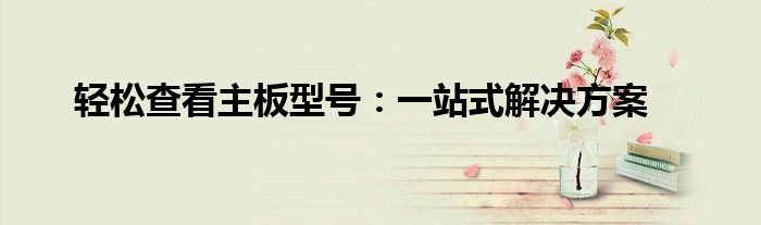 轻松查看主板型号：一站式解决方案