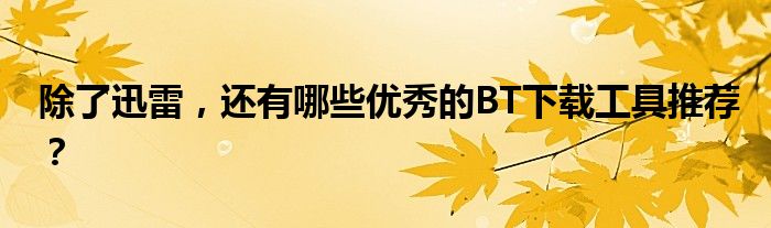 除了迅雷，还有哪些优秀的BT下载工具推荐？