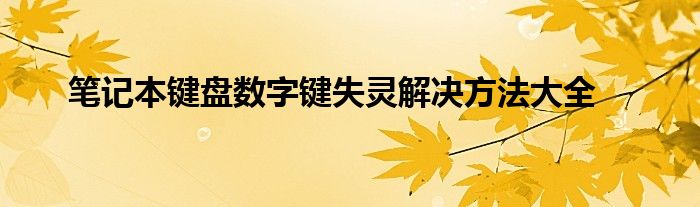 笔记本键盘数字键失灵解决方法大全