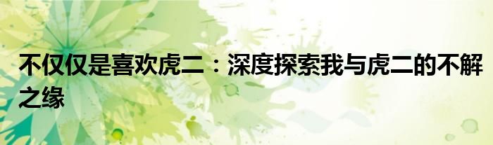 不仅仅是喜欢虎二：深度探索我与虎二的不解之缘