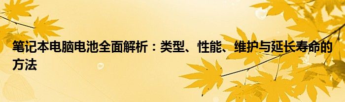 笔记本电脑电池全面解析：类型、性能、维护与延长寿命的方法