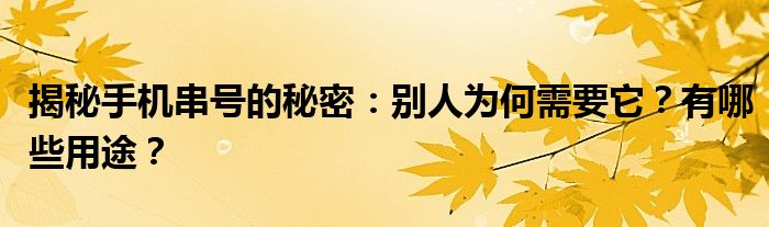 揭秘手机串号的秘密：别人为何需要它？有哪些用途？