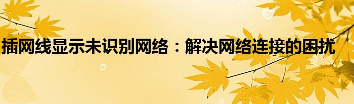 插网线显示未识别网络：解决网络连接的困扰