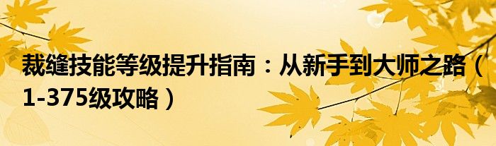 裁缝技能等级提升指南：从新手到大师之路（1-375级攻略）