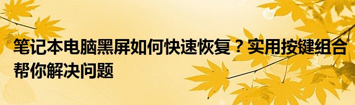 笔记本电脑黑屏如何快速恢复？实用按键组合帮你解决问题