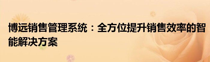 博远销售管理系统：全方位提升销售效率的智能解决方案