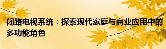 闭路电视系统：探索现代家庭与商业应用中的多功能角色