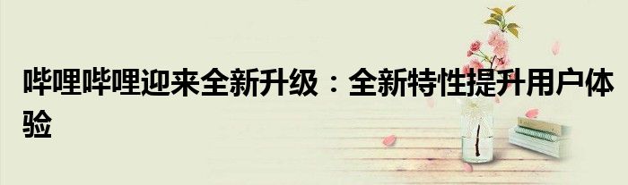 哔哩哔哩迎来全新升级：全新特性提升用户体验