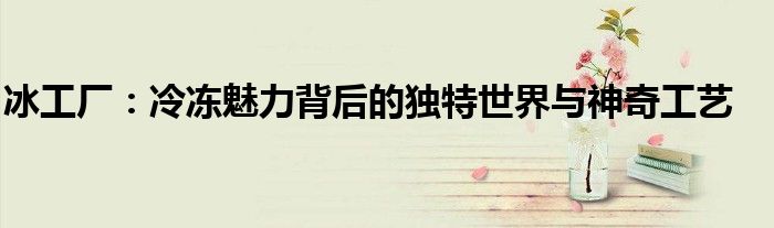 冰工厂：冷冻魅力背后的独特世界与神奇工艺