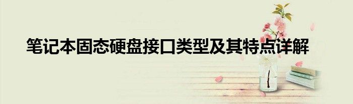 笔记本固态硬盘接口类型及其特点详解