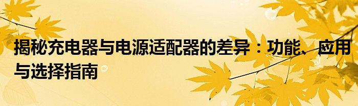 揭秘充电器与电源适配器的差异：功能、应用与选择指南