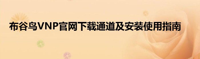 布谷鸟VNP官网下载通道及安装使用指南