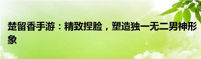 楚留香手游：精致捏脸，塑造独一无二男神形象