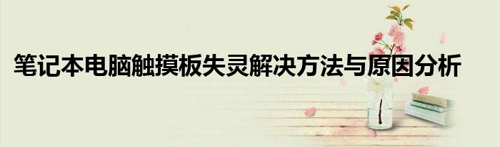 笔记本电脑触摸板失灵解决方法与原因分析