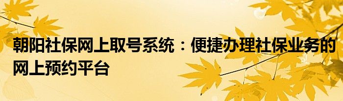 朝阳社保网上取号系统：便捷办理社保业务的网上预约平台