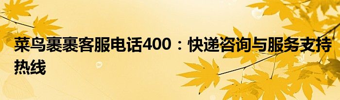 菜鸟裹裹客服电话400：快递咨询与服务支持热线