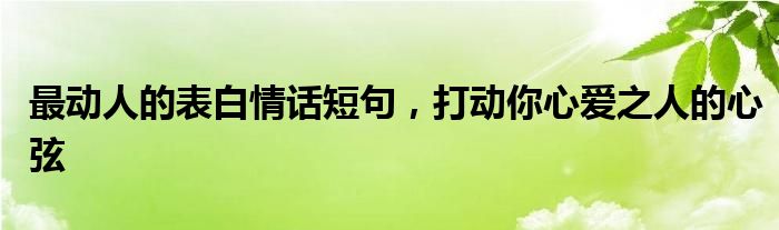 最动人的表白情话短句，打动你心爱之人的心弦