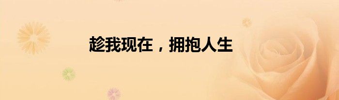 趁我现在，拥抱人生