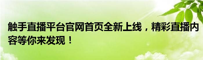 触手直播平台官网首页全新上线，精彩直播内容等你来发现！