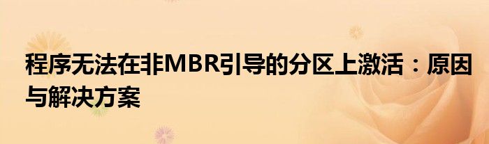 程序无法在非MBR引导的分区上激活：原因与解决方案