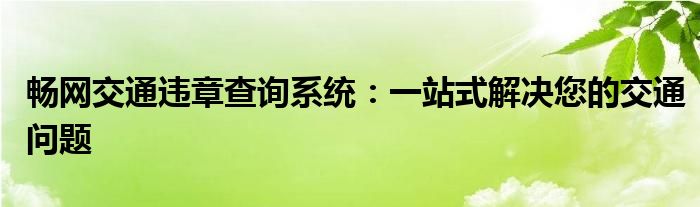 畅网交通违章查询系统：一站式解决您的交通问题