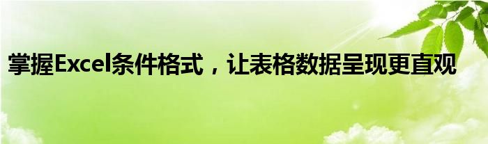 掌握Excel条件格式，让表格数据呈现更直观