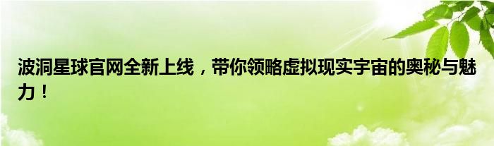 波洞星球官网全新上线，带你领略虚拟现实宇宙的奥秘与魅力！