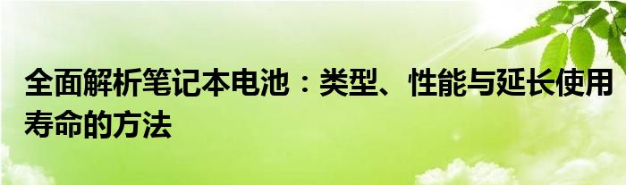 全面解析笔记本电池：类型、性能与延长使用寿命的方法