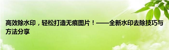 高效除水印，轻松打造无痕图片！——全新水印去除技巧与方法分享