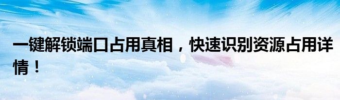 一键解锁端口占用真相，快速识别资源占用详情！