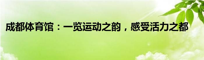 成都体育馆：一览运动之韵，感受活力之都